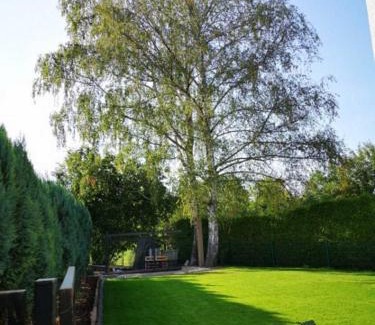 Rimbach Apartment | Birkenblick Ferienwohnung Owwe