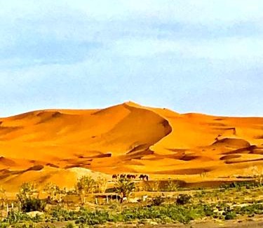 Rissani Other | Bivouac la fibule des Dunes