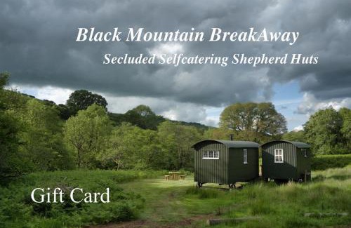 Gwynfe Other | Black Mountain BreakAway