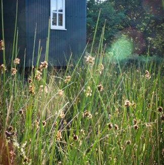 Gwynfe Other | Black Mountain BreakAway