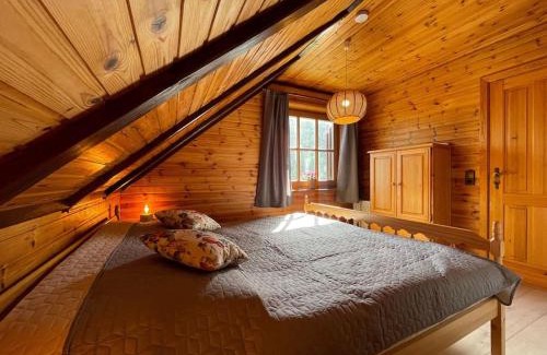 Altenau Apartment | Blockhausflair mit Kamin, Balkon und Bergpanorama