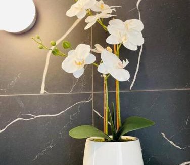 Docklands Apartment | Bloom of Luxury