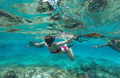 Cozumel Hotel | Blue Angel Resort