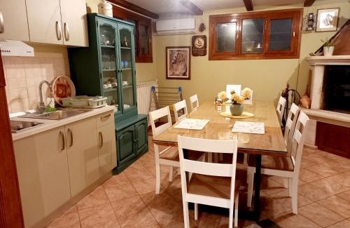 Murine Apartment | BLUE DEER