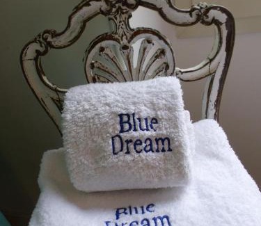 Riou - Petit Juas - Av de Grasse House | Blue Dream Cannes Guest House