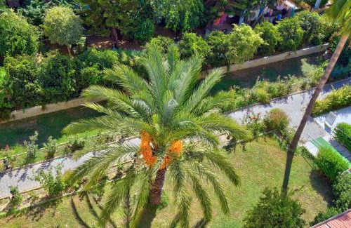 Konakli Resort | Blue Fish Hotel All Inclusive