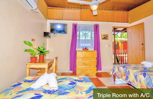 Samara Hotel | Blue Iguana