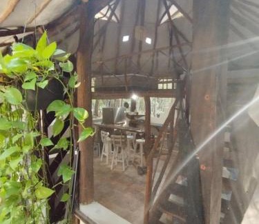 Chemuyil Cabin | Blue Monkey Chemuyil