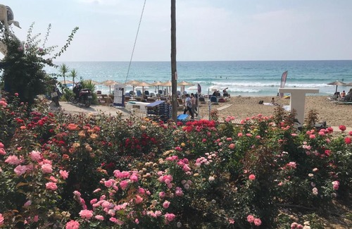 Agios Gordios Hotel | Blue Ocean