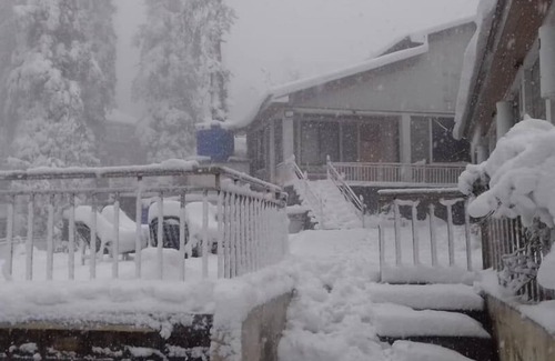 Nathia Gali Cottage | Blue Pine Retreat