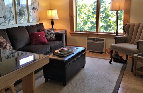 Lexington Apartment | Blue Ridge Artist's Studio