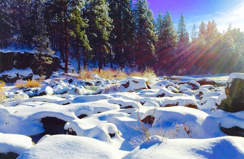 Old Bend House | Bluebird Day - Box Factory Bungalow - Walk to Downtown - Hot Tub