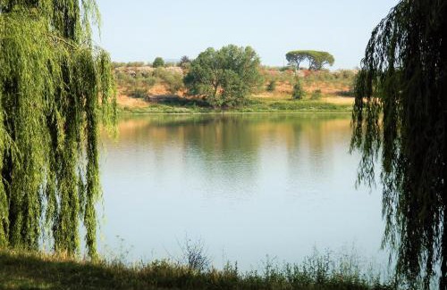 Monterosi Bed & Breakfast | BnB Angelo e Graziella