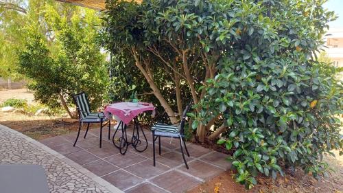 Matino Apartment | Boat dreams , garden relax