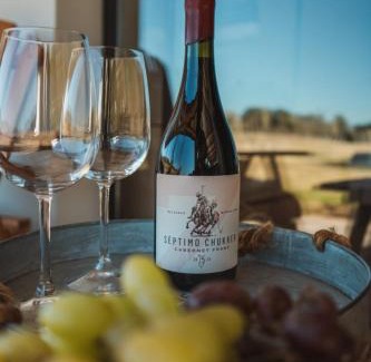 Balcarce Apartment | Bodegas y Viñedos Balcarce