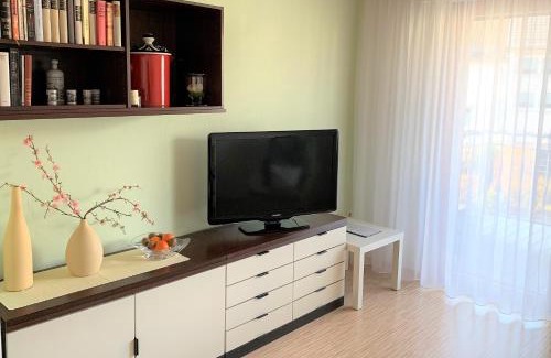 Fischbach Apartment | BodenSEE Apartment Friedrichshafen Manzell