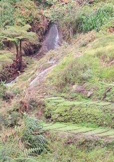 Kodaikanal Hotel | Bogar Palace Kodaikanal