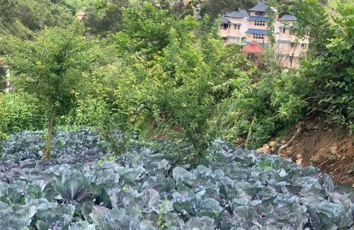 Kodaikanal Hotel | Bogar Palace Kodaikanal