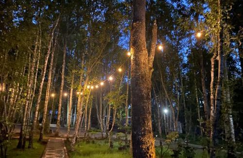 Pucon Resort | Boker Tov Pucon