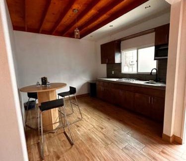 Constitucion Apartment | Bonito departamento rustico