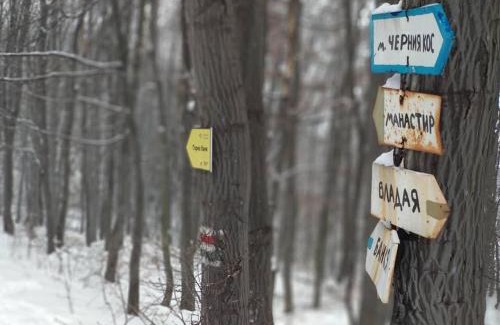 Sofia Cabin | Bonsovi Poliani Hut (хижа Бонсови поляни)