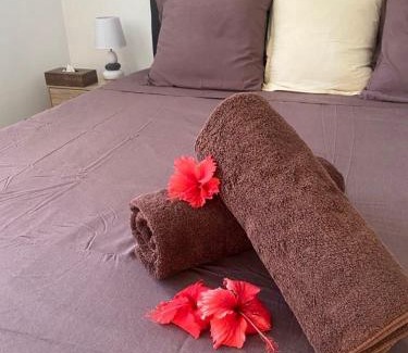 Nunue Apartment | Bora Bora Fare Sophia