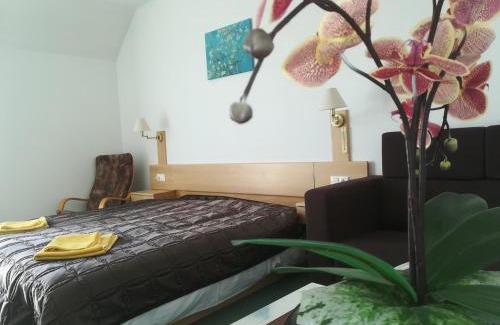 Zalakaros Apartment | Borisz Apartman Zalakaros