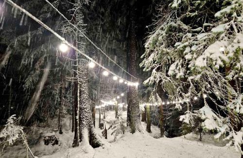 Borovets Apartment | Borovets Villa Park studio