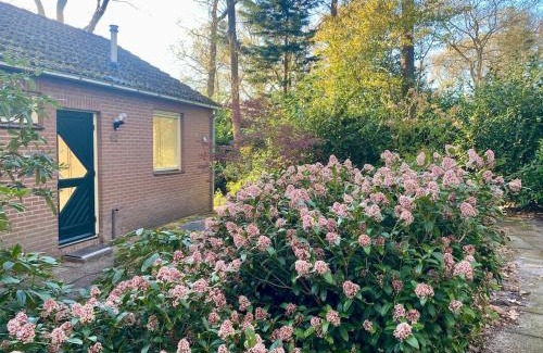 Doldersum House | Boshuisje Doldersum: omheinde tuin en uniek uitzicht