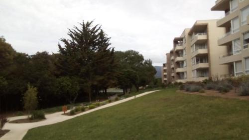 Papudo Apartment | Bosque Playa Lomas de Papudo 3