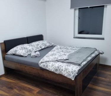 Zagreb Apartment | Botanical garden
