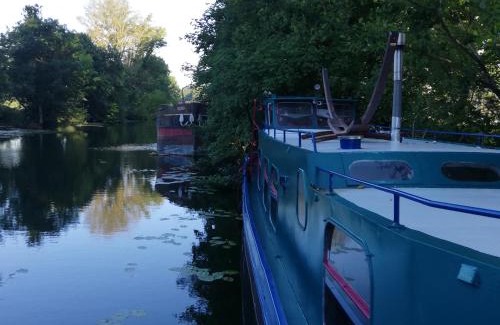 Dole Boat Rental | Botel La Vecchia (LY1992)