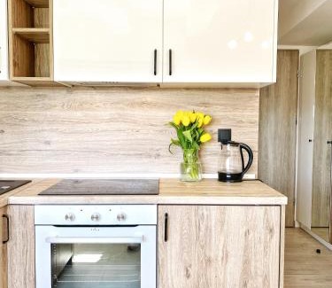 Torun Apartment | BP Apartment VI