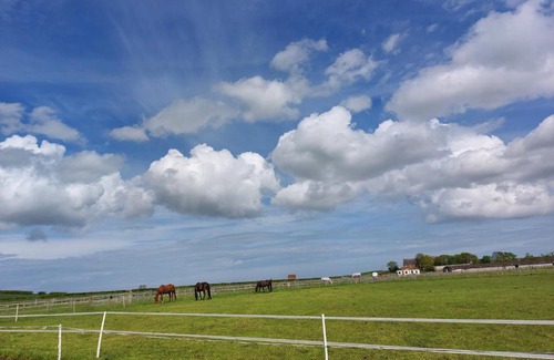 Winestead Other | Braemar Equestrian, East Riding of Yorkshire
