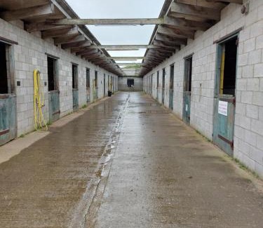 Winestead Other | Braemar Equestrian, East Riding of Yorkshire