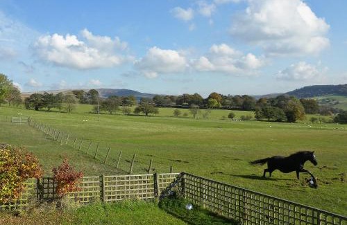 Fence House | Bramble Cottage - 27978