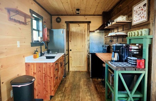 Means Cabin | Briar Patch Cabin RRG: Firepit, Sunset, WIFI