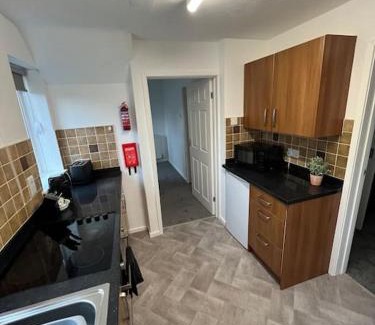 Middlesbrough House | Bridnor house