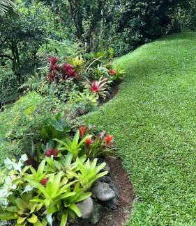 La Tigra House | Bromelia House