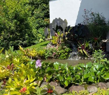 La Tigra House | Bromelia House