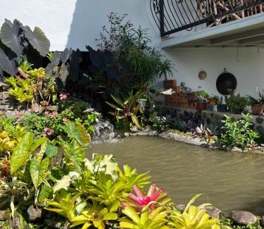 La Tigra House | Bromelia House