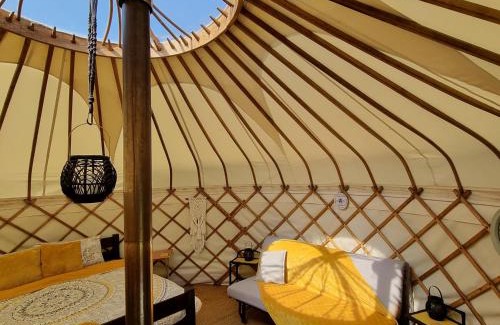 Llandovery Other | Bronfelen Yurt