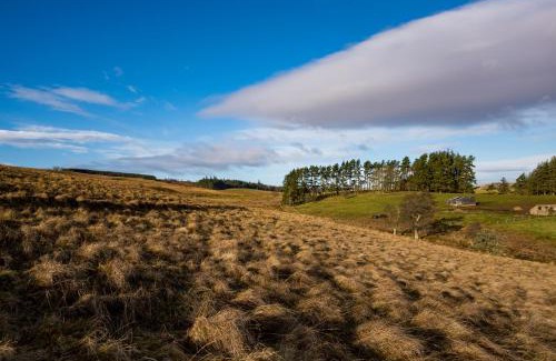 Bellingham Cabin | Brown Rigg Lodges