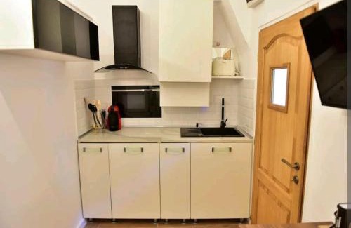 Historic Center Apartment | Brukenthal Studio Sibiu