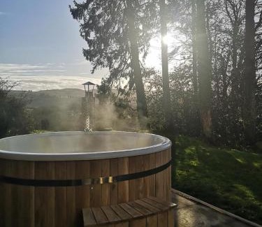 Llanfair Caereinion House | Brynderwen