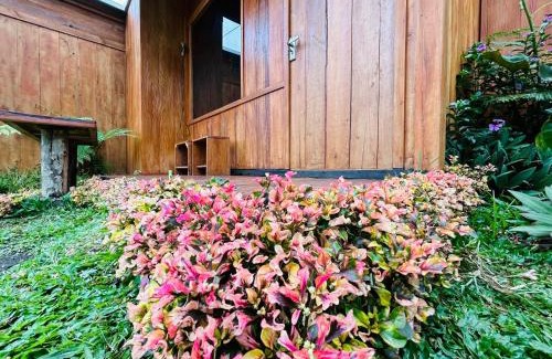 Kintamani Other | Buahan Sweet Glamping (BSG)