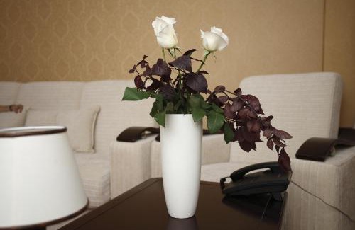 Iasi Hotel | Bucium Motel & SPA