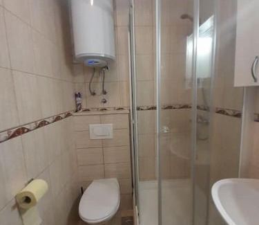 Znjan Apartment | Bucko apartment Pazdigrad
