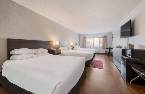 Ontario Hotel | Budget-friendly Accommodation! Indoor Pool, Pets Allowed, Free Breakfast