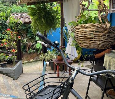 Ilha Grande Hotel | Buena Onda Suites